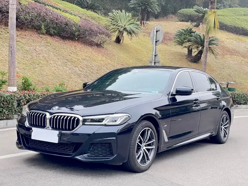 BMW 5 Series 2022 из CN, фото 1