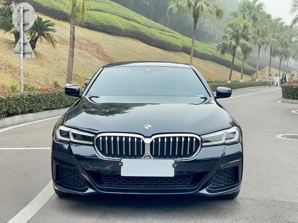 BMW 5 Series 2022 из CN, фото 8