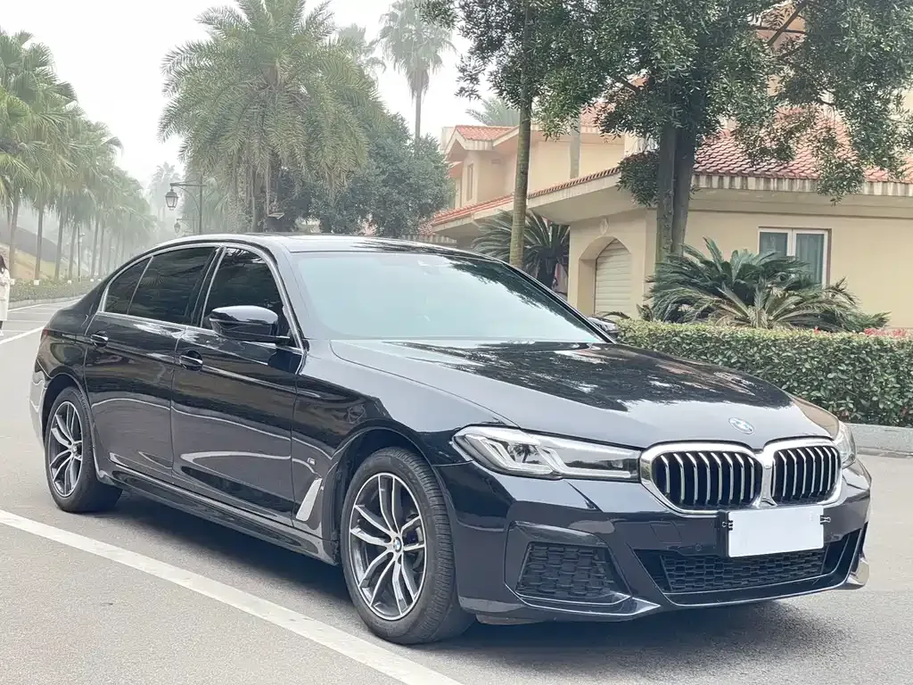 BMW 5 Series 2022 из CN, фото 6