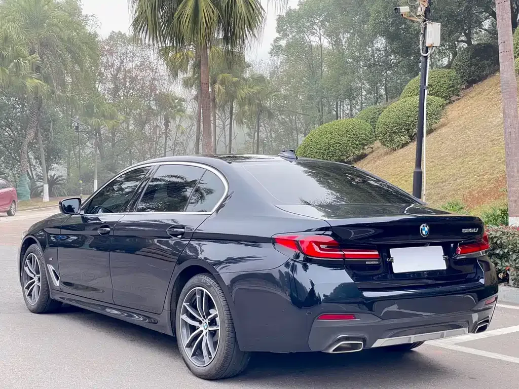 BMW 5 Series 2022 из CN, фото 4