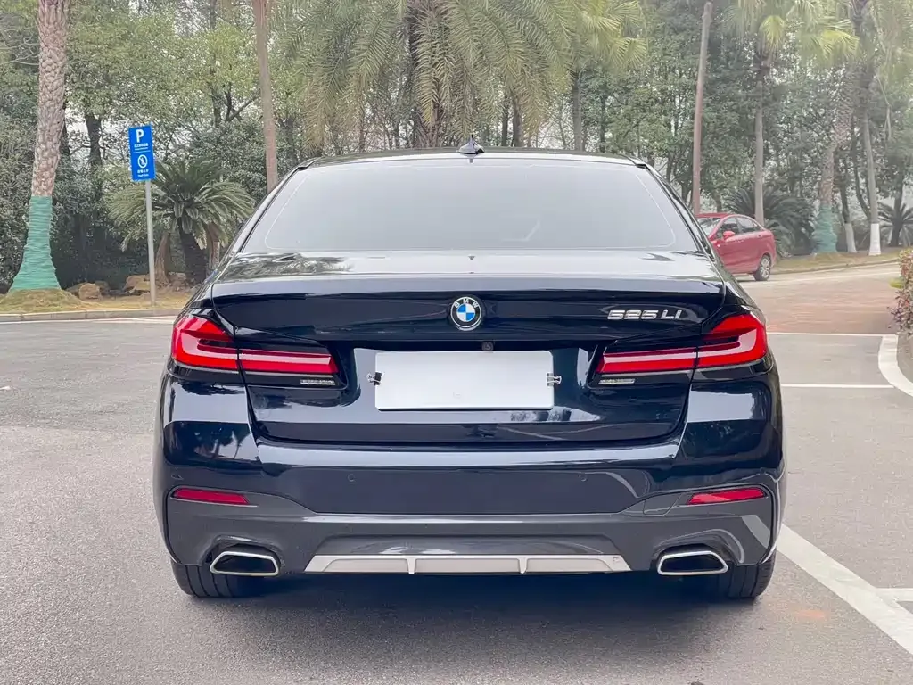 BMW 5 Series 2022 из CN, фото 3
