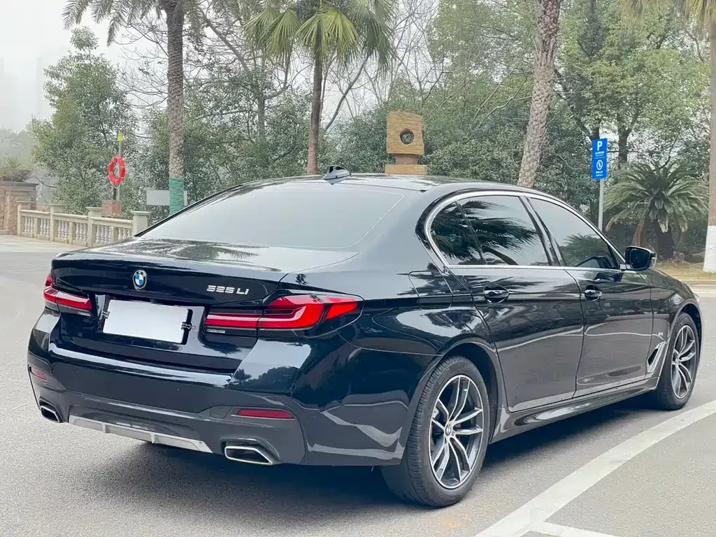 BMW 5 Series 2022 из CN, фото 7