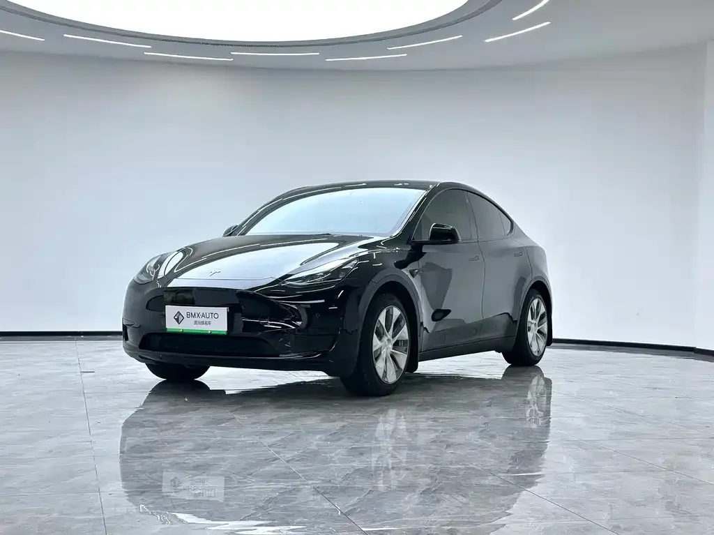 Tesla Model Y 2023 из CN, фото 1