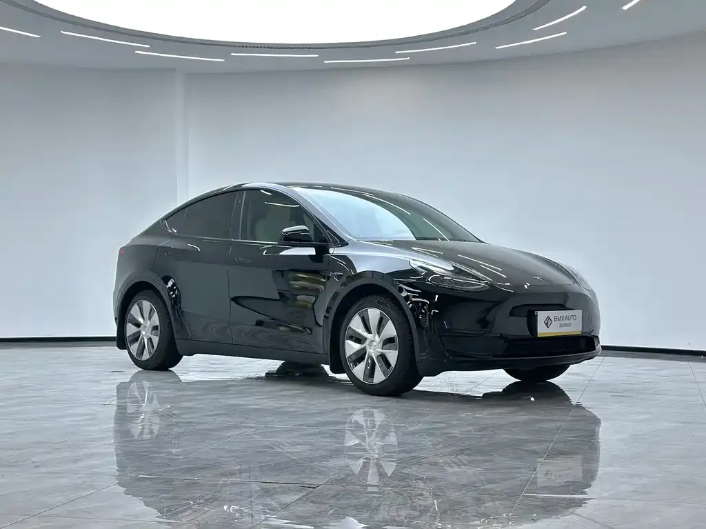 Tesla Model Y 2023 из CN, фото 4