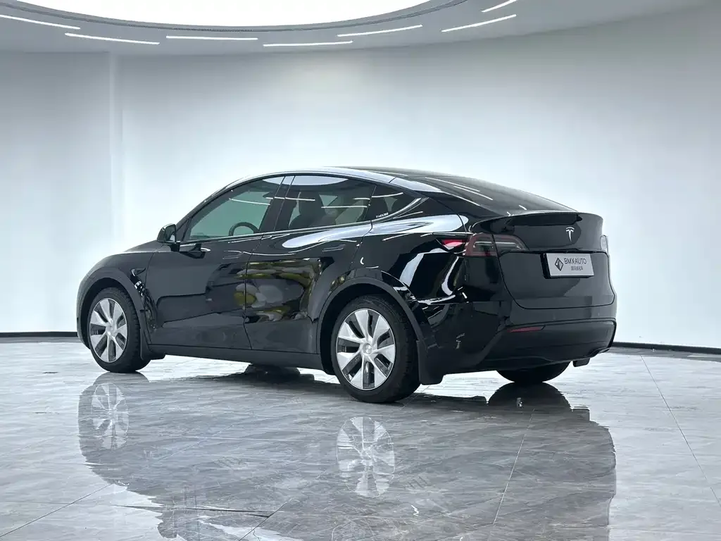 Tesla Model Y 2023 из CN, фото 2