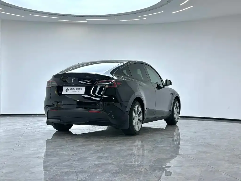 Tesla Model Y 2023 из CN, фото 6