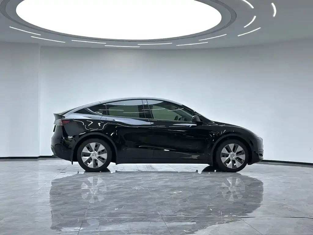 Tesla Model Y 2023 из CN, фото 5