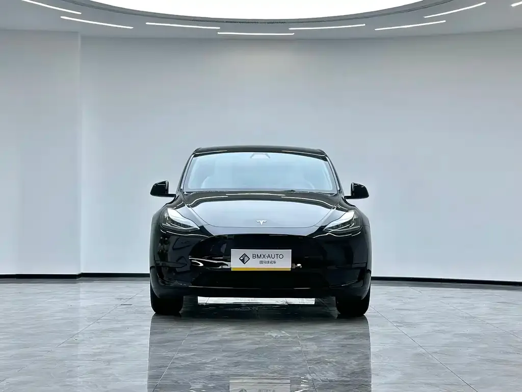Tesla Model Y 2023 из CN, фото 8