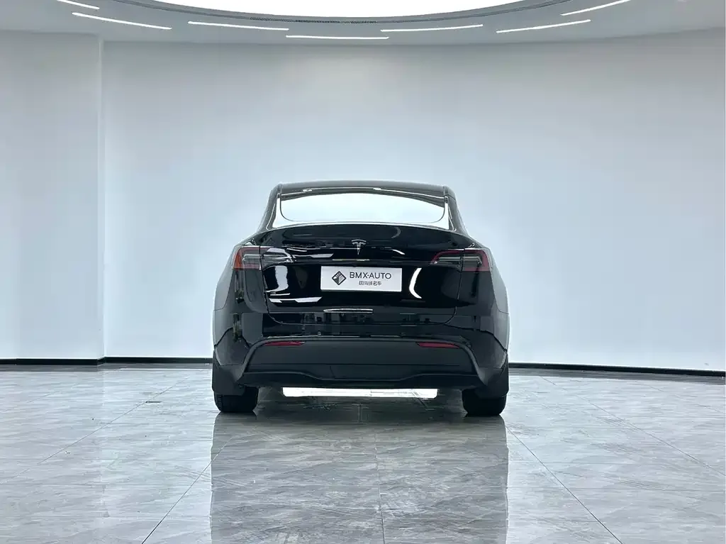 Tesla Model Y 2023 из CN, фото 9