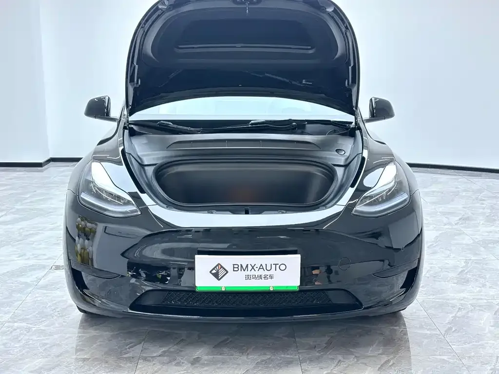 Tesla Model Y 2023 из CN, фото 10