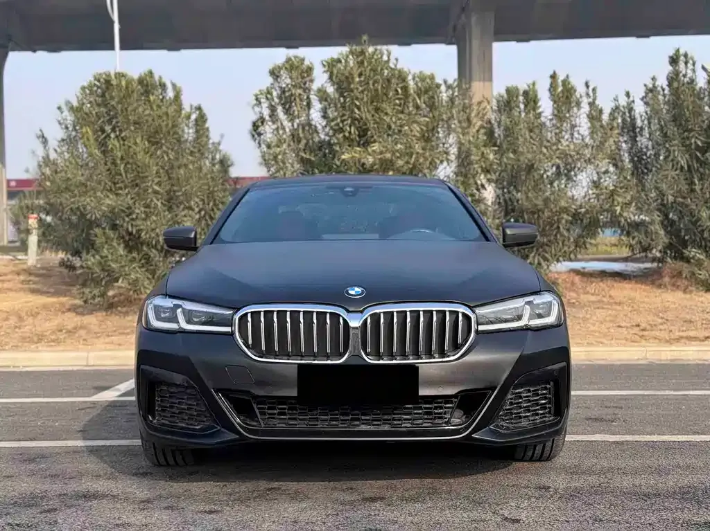 BMW 5 Series 2022 из CN, фото 1