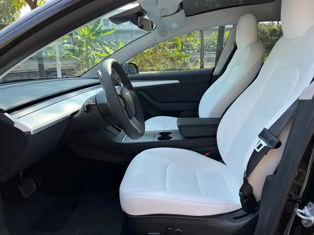 Tesla Model 3 2022 из CN, фото 3