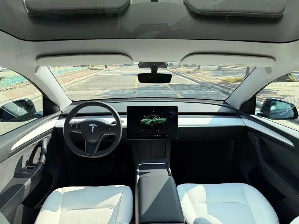 Tesla Model 3 2022 из CN, фото 4