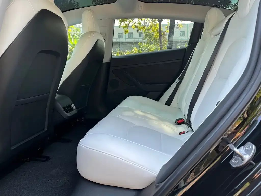 Tesla Model 3 2022 из CN, фото 2