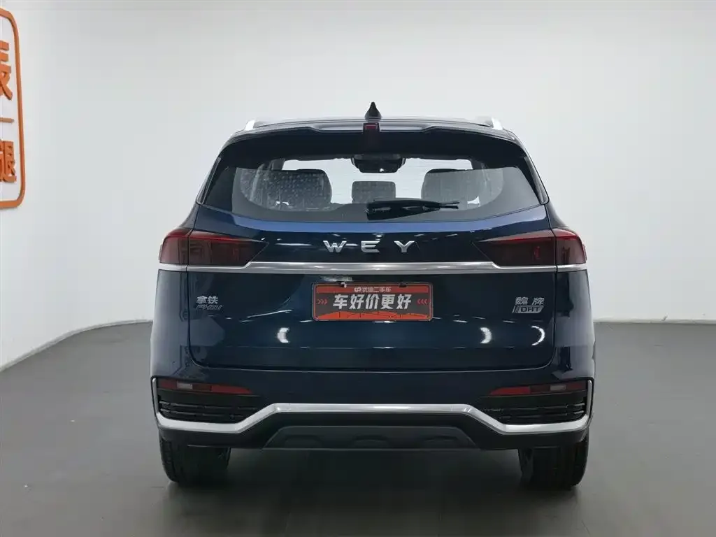 Wey Latte DHT-PHEV 2022 из CN, фото 8