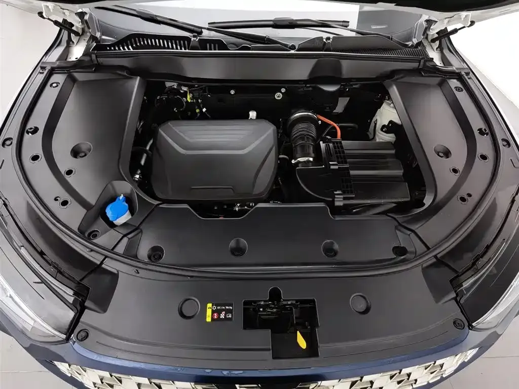 Wey Latte DHT-PHEV 2022 из CN, фото 9