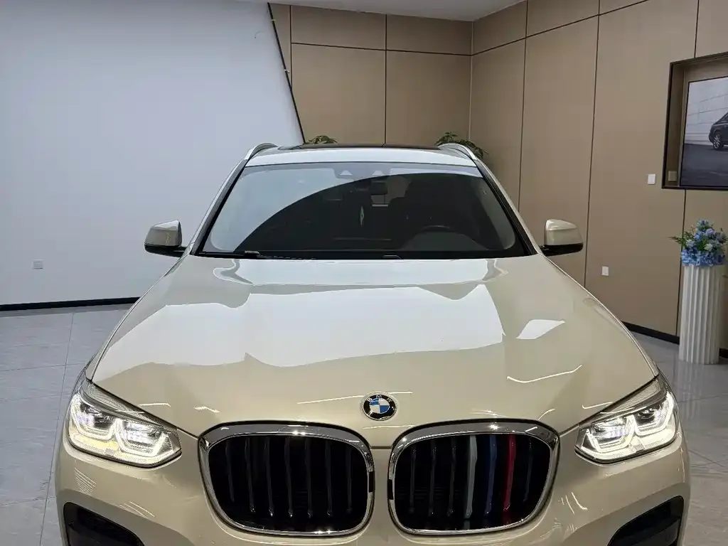 BMW X3 2021 из CN, фото 1