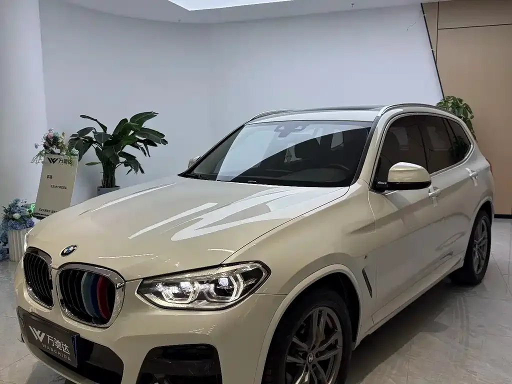BMW X3 2021 из CN, фото 5