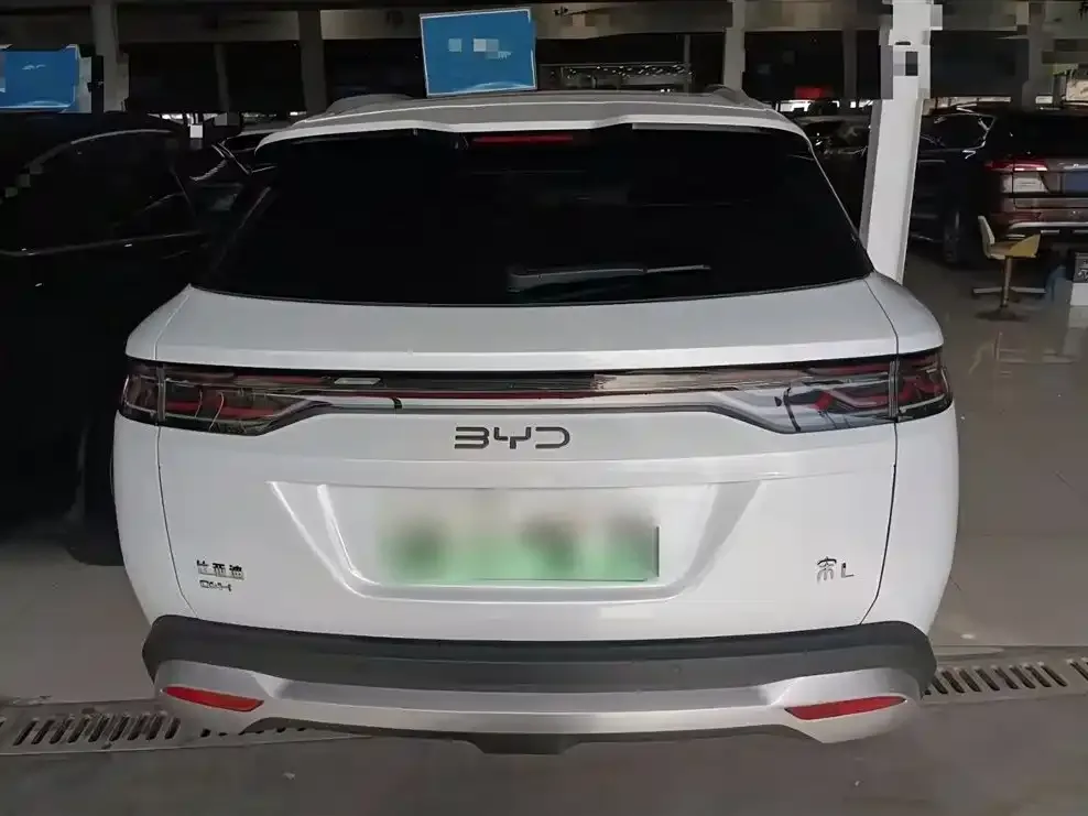 BYD L DM-i 2024 из CN, фото 5