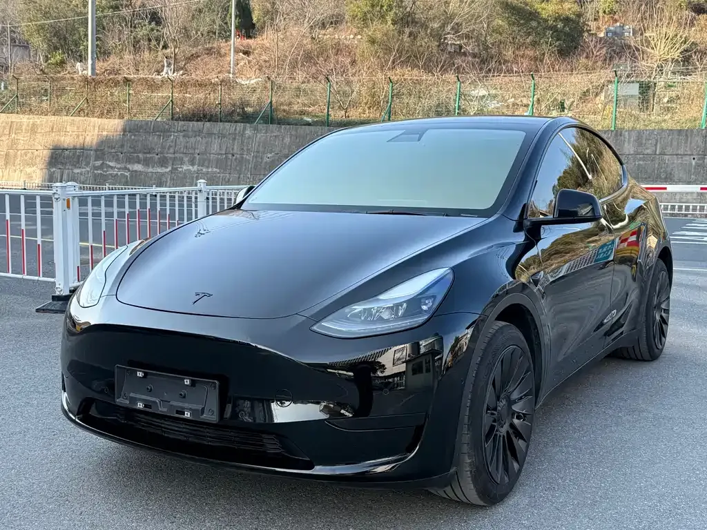 Tesla Model Y 2023 из CN, фото 1