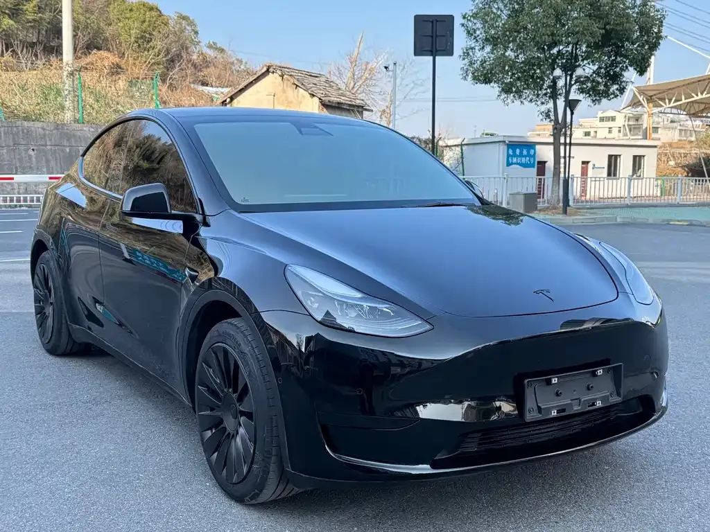Tesla Model Y 2023 из CN, фото 9