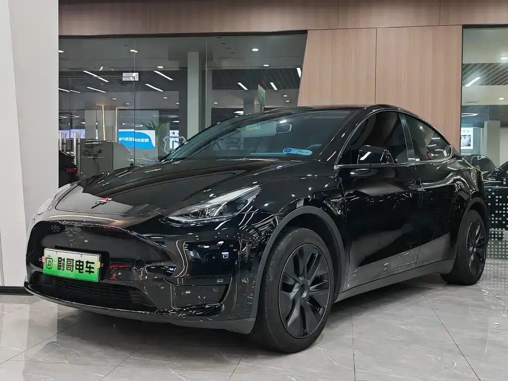 Tesla Model Y 2023 из CN, фото 1