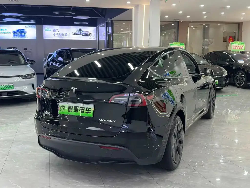 Tesla Model Y 2023 из CN, фото 6