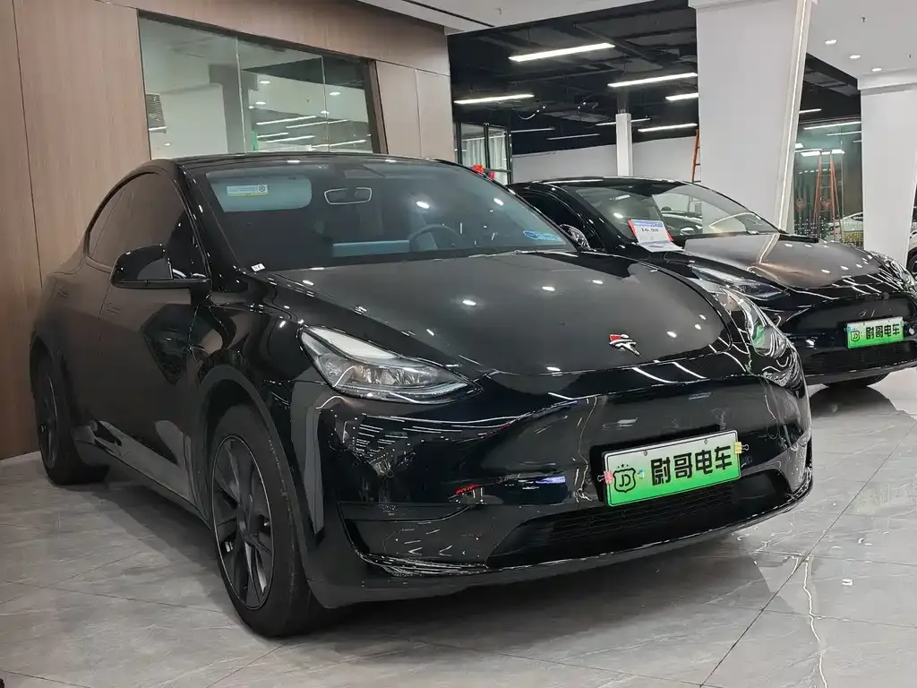 Tesla Model Y 2023 из CN, фото 9