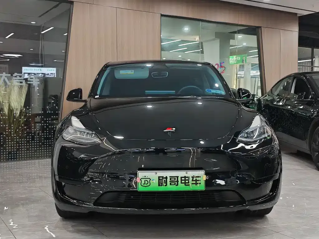 Tesla Model Y 2023 из CN, фото 8