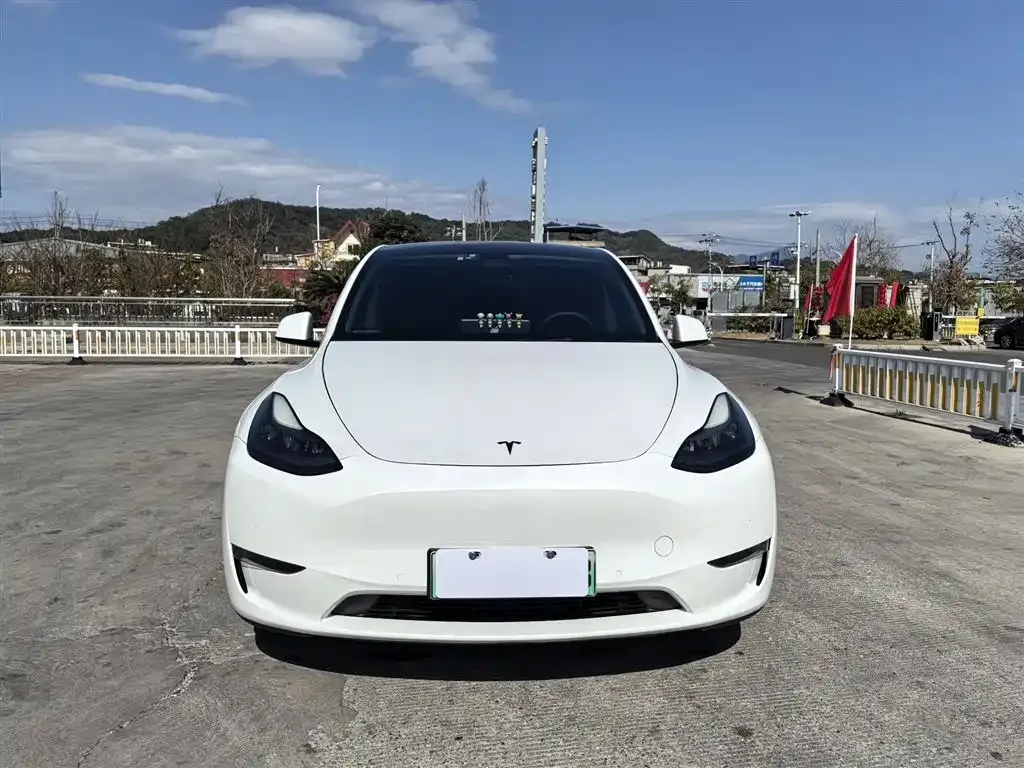 Tesla Model Y 2021 из CN, фото 1
