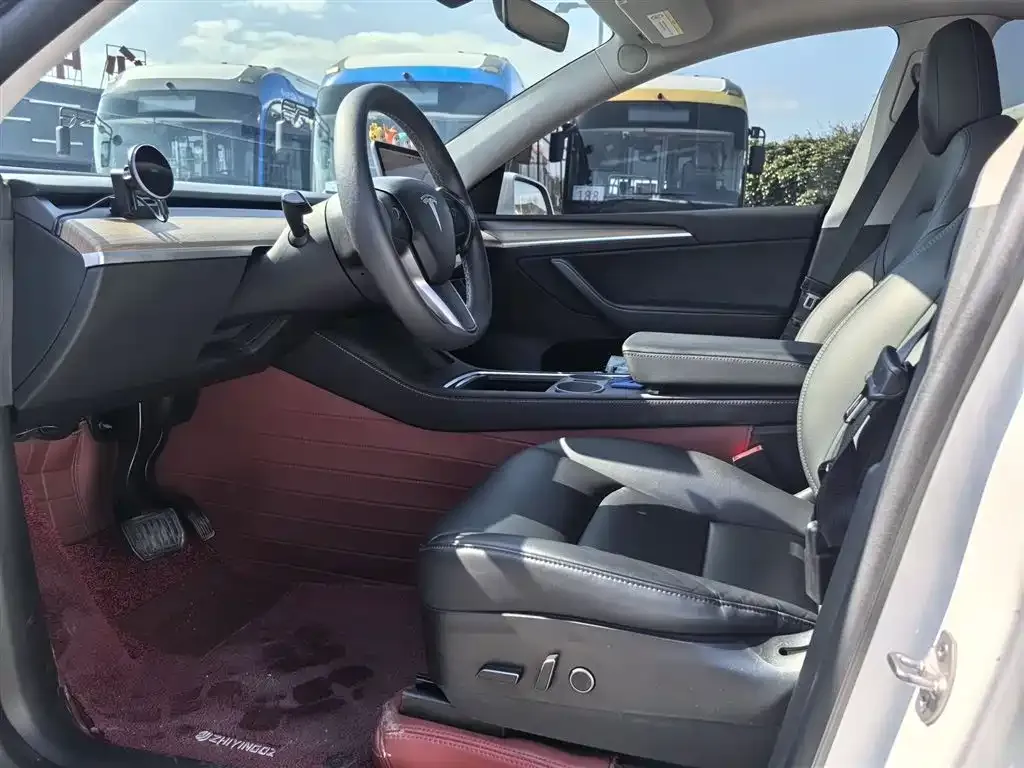 Tesla Model Y 2021 из CN, фото 6