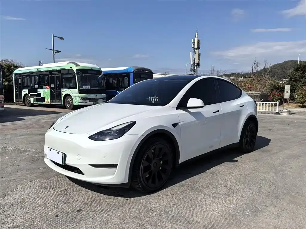Tesla Model Y 2021 из CN, фото 8