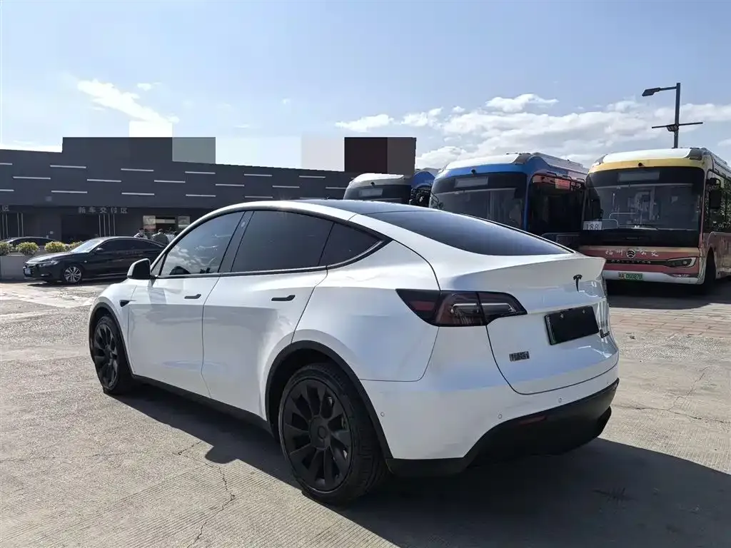 Tesla Model Y 2021 из CN, фото 5