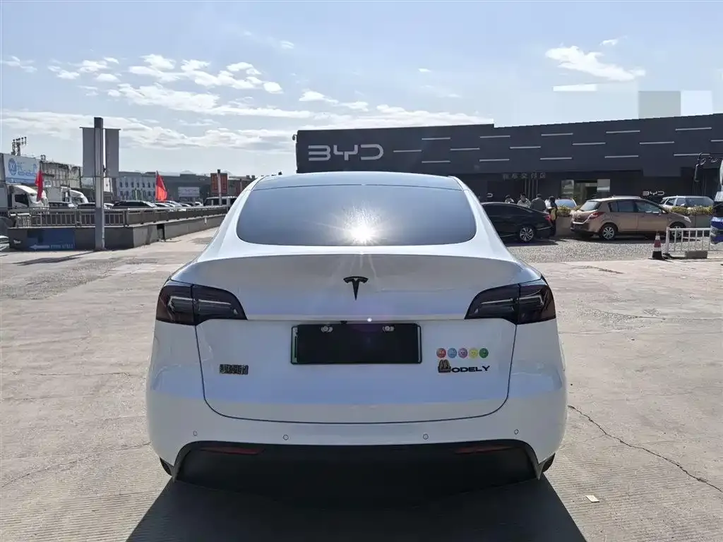 Tesla Model Y 2021 из CN, фото 9
