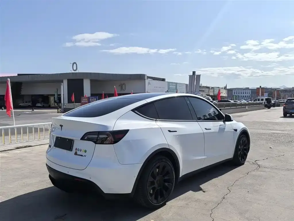 Tesla Model Y 2021 из CN, фото 4