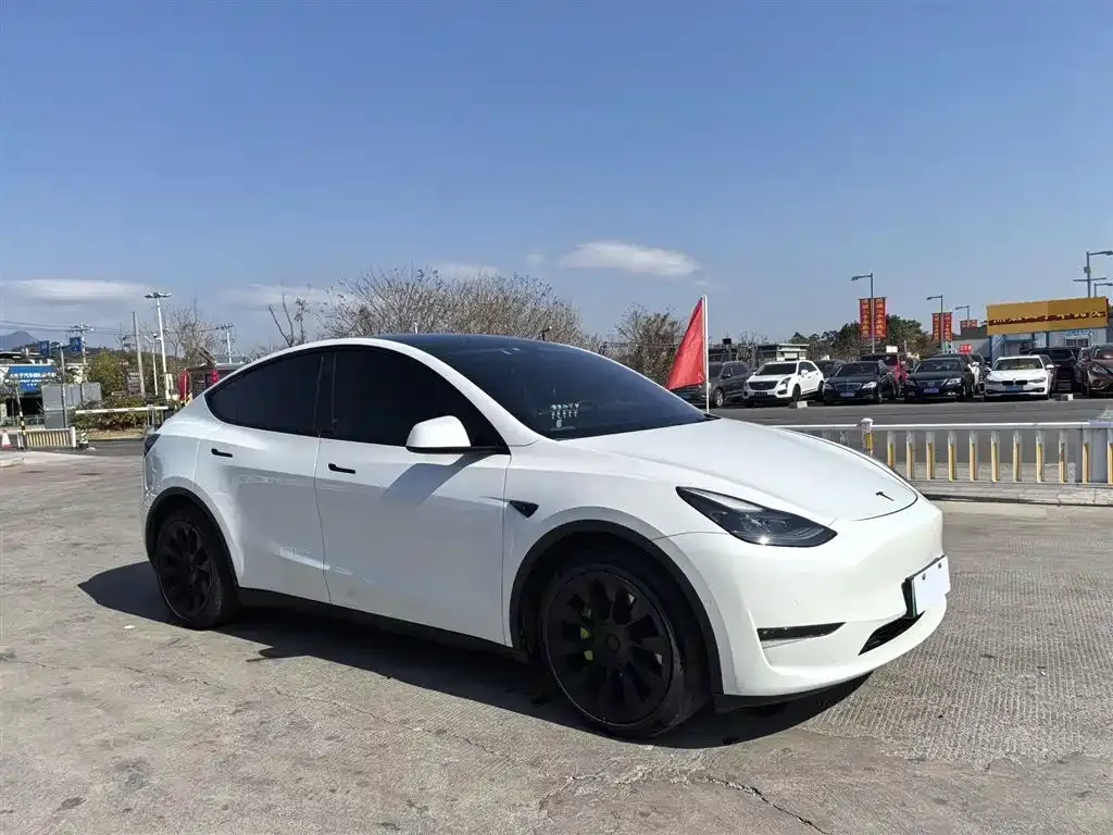 Tesla Model Y 2021 из CN, фото 3