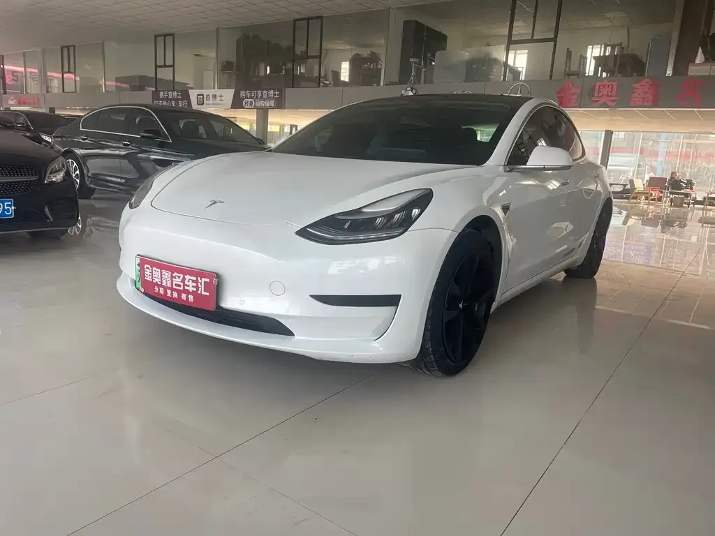 Tesla Model 3 2021 из CN, фото 1