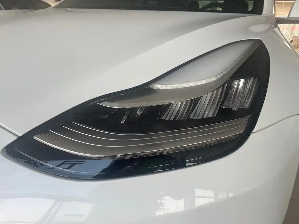 Tesla Model 3 2021 из CN, фото 4