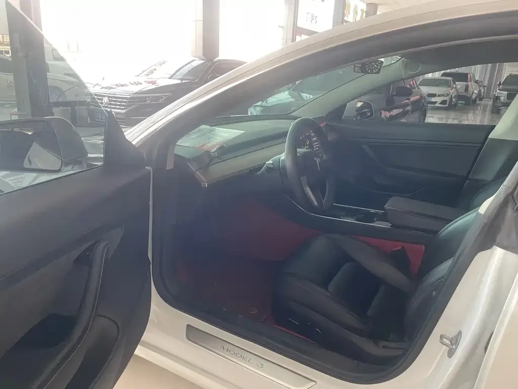Tesla Model 3 2021 из CN, фото 3