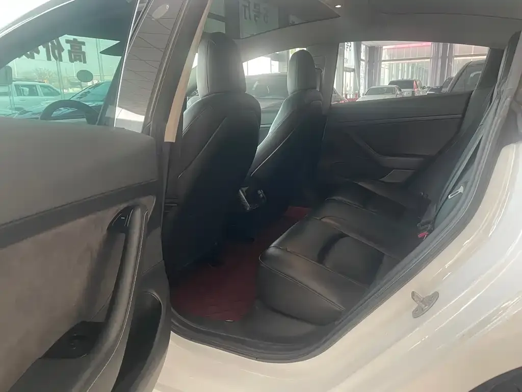 Tesla Model 3 2021 из CN, фото 6