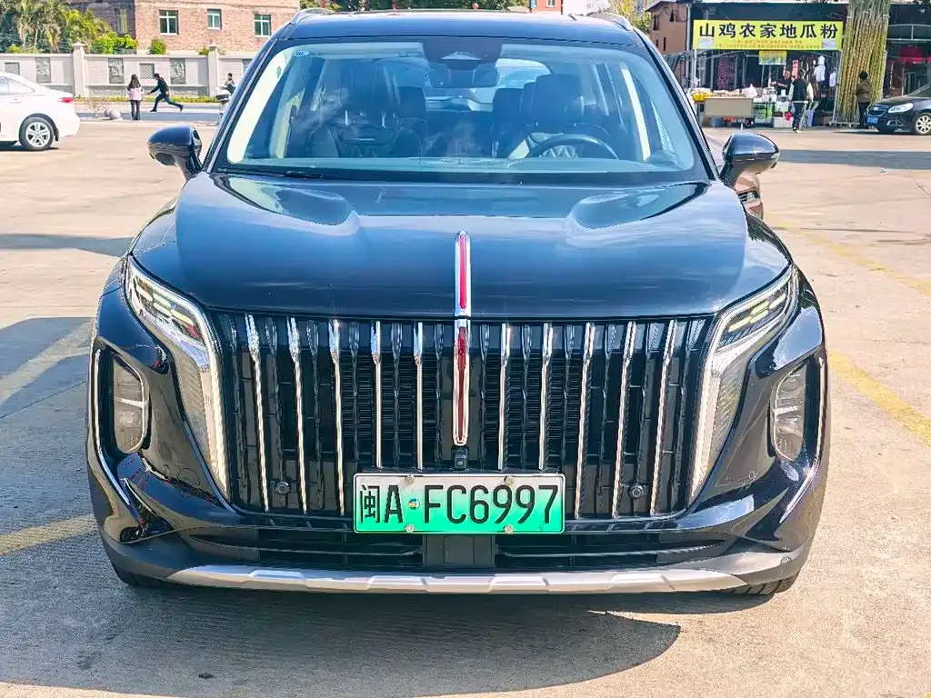 Hongqi HS7 PHEV 2024 из CN, фото 7