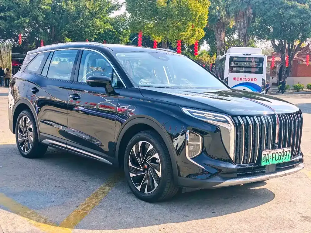 Hongqi HS7 PHEV 2024 из CN, фото 9
