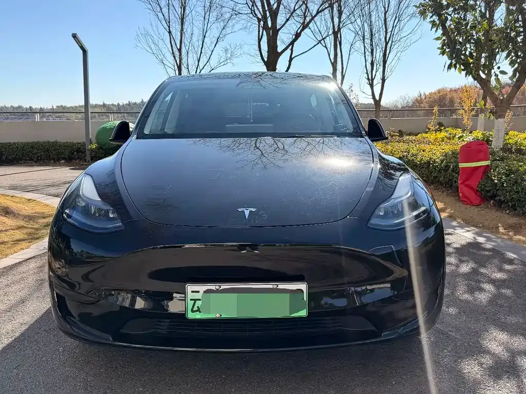 Tesla Model Y — фото 1