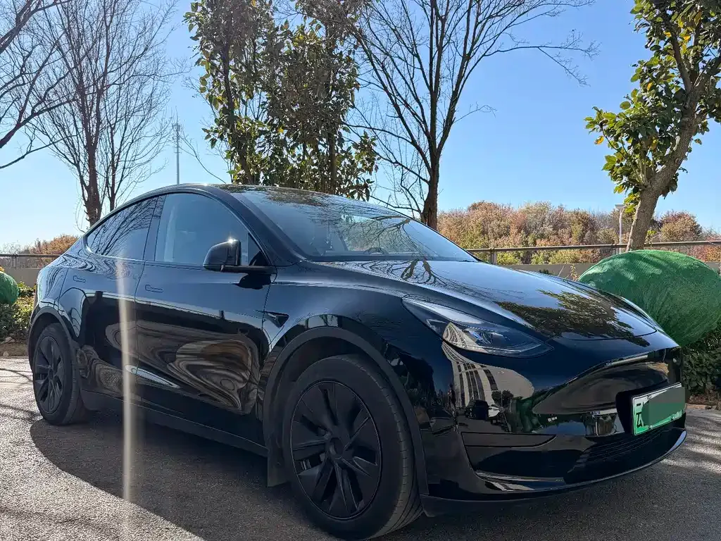 Tesla Model Y — фото 9