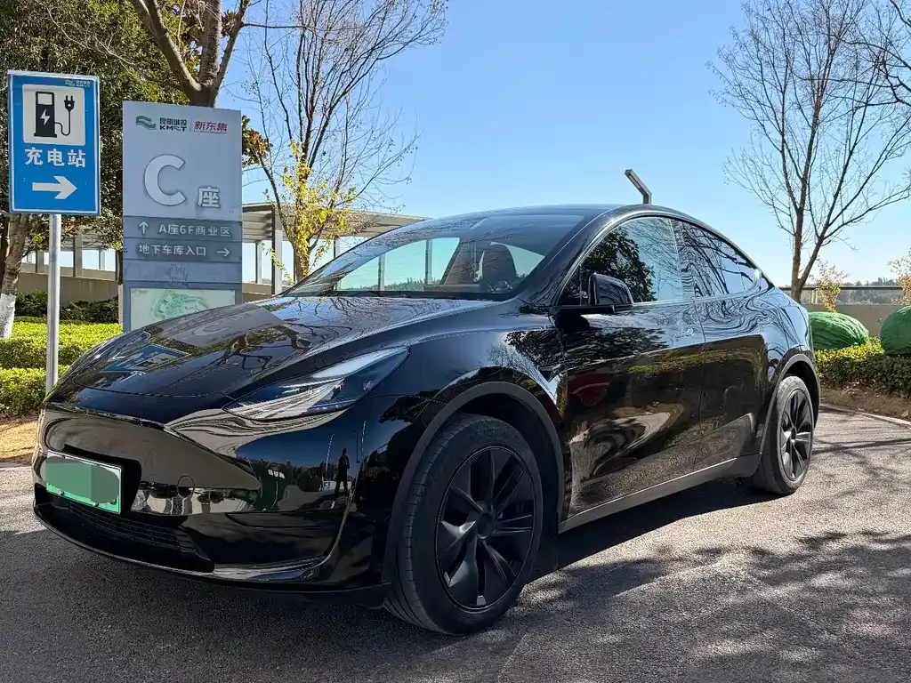 Tesla Model Y — фото 6