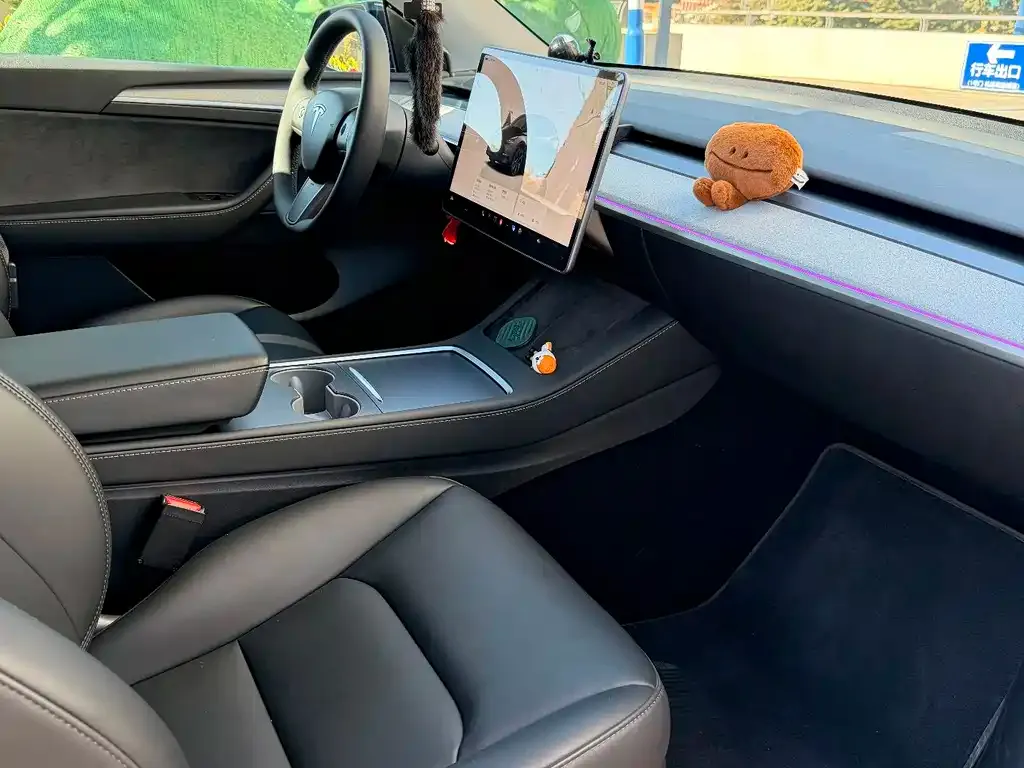 Tesla Model Y — фото 2