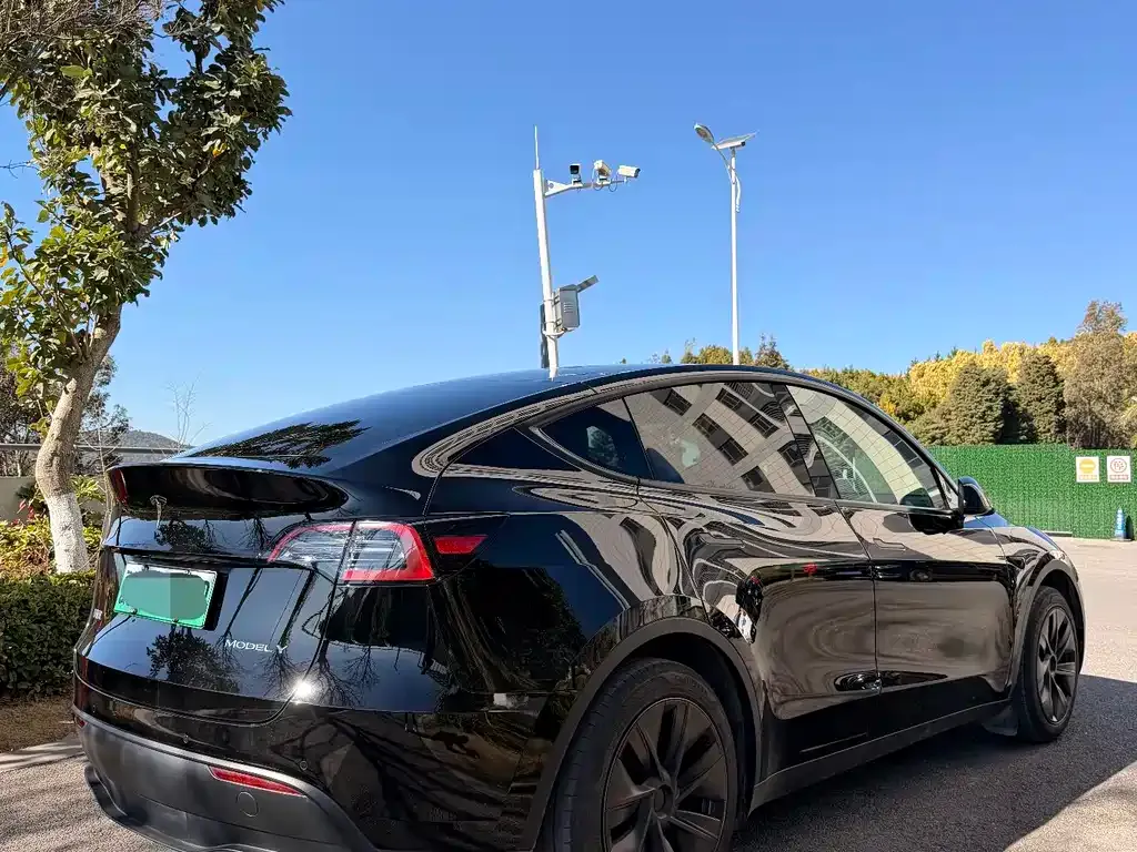 Tesla Model Y — фото 8