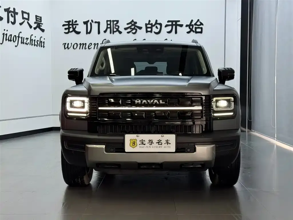 Haval Menglong New Energy — фото 1