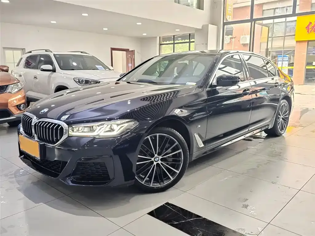 BMW 5 Series 2021 из CN, фото 1