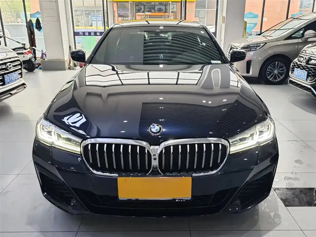 BMW 5 Series 2021 из CN, фото 7